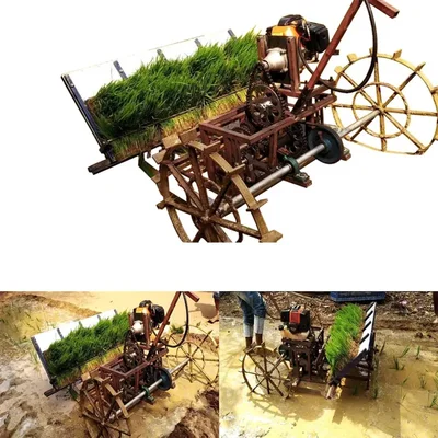 Made in India 4 Rows Engine Operated Rice/Paddy Transplanter, 2 Stroke